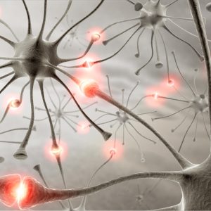 neurons_about